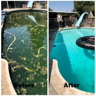 before and after green cleaning pool in fresno california